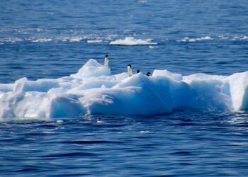 Perigo na Antártida: substância surge no fundo do mar e pode causar o caos na Terra