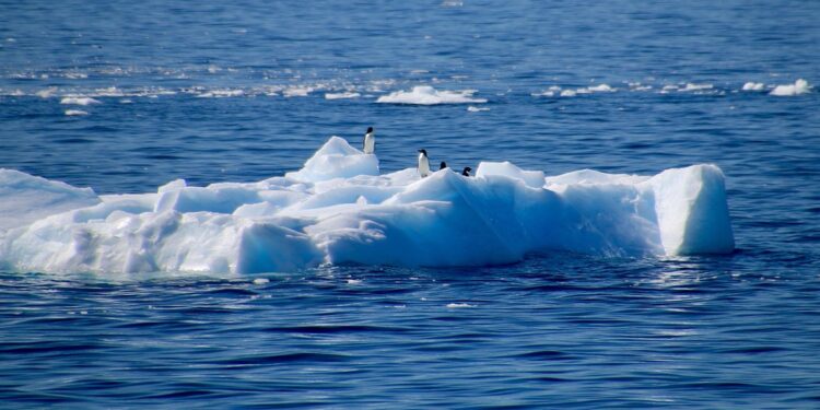 Perigo na Antártida: substância surge no fundo do mar e pode causar o caos na Terra