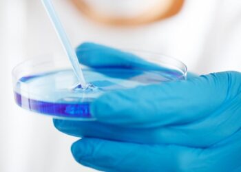 Sexto sentido do corpo humano está perto de ser oficializado por cientistas