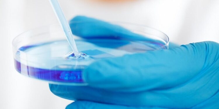 Sexto sentido do corpo humano está perto de ser oficializado por cientistas