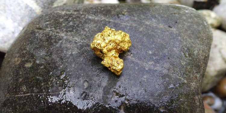 Nesse país, o ouro está surgindo direto das árvores