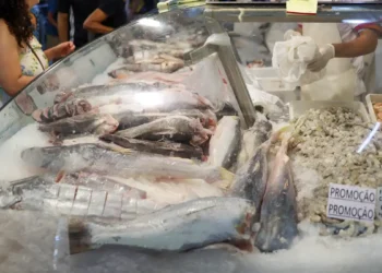 Tilápia, camarão e outros peixes serão proibidos no Brasil? Votação acontece em dezembro