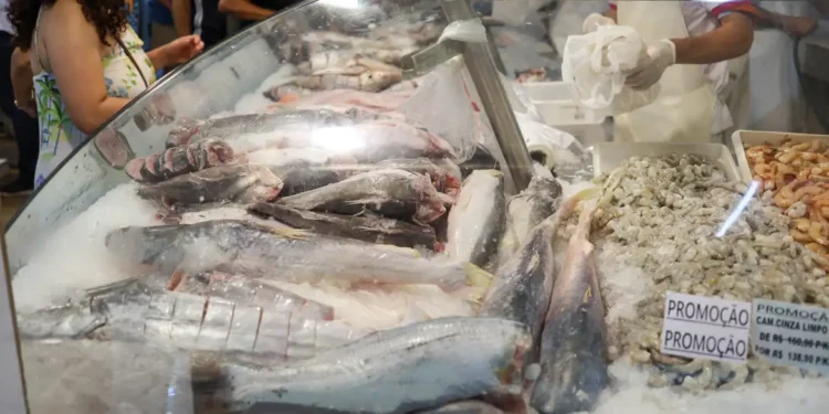 Tilápia, camarão e outros peixes serão proibidos no Brasil? Votação acontece em dezembro