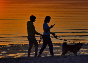 Este é o tempo exato que se deve caminhar todos os dias