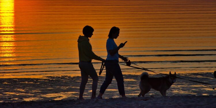 Este é o tempo exato que se deve caminhar todos os dias