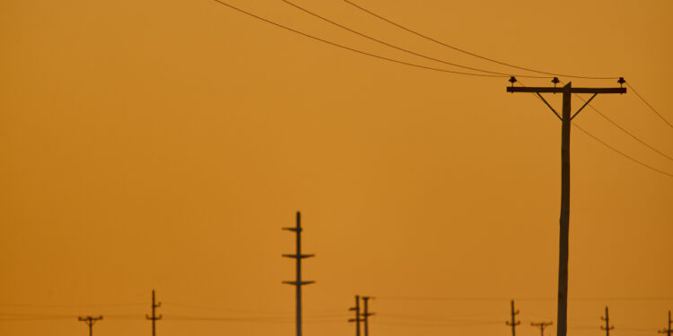 Postes de energia estão sendo substituídos por esculturas de animais gigantes neste país