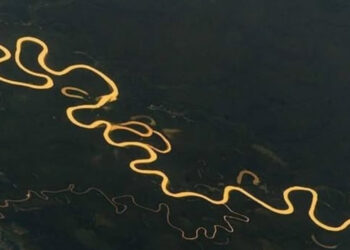 Rio brasileiro com 6.992 quilômetros ultrapassa o Nilo e é eleito o maior do mundo