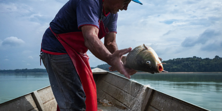 Peixe descoberto tem aparência de deixar todos os pelos do corpo arrepiados