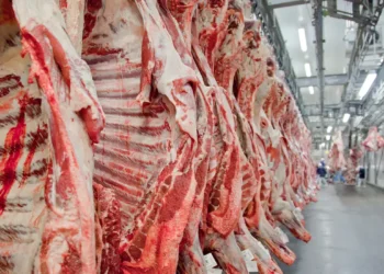 Carne esquecida nos mercados é mais macia que o filé mignon