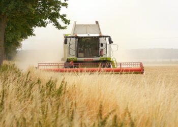 Investidores anunciam a criação de um novo império avaliado em R$ 1,1 bilhão no Brasil