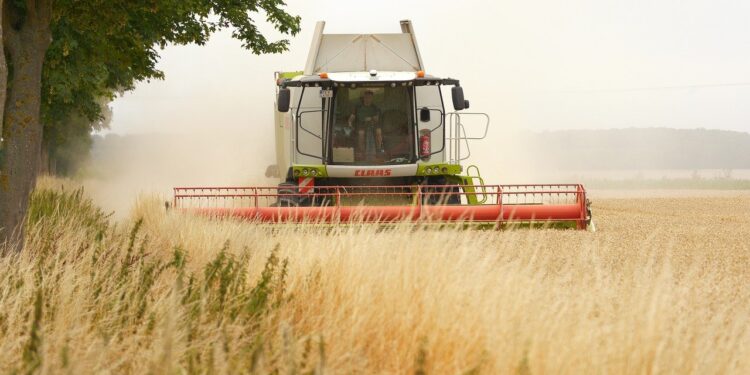 Investidores anunciam a criação de um novo império avaliado em R$ 1,1 bilhão no Brasil