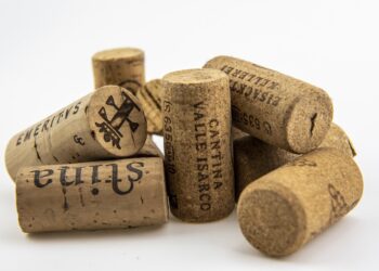 Colocar uma rolha na geladeira é mais recomendado do que você imagina e vai transformar seu eletrodoméstico