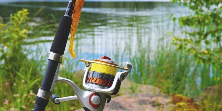 Autoridades em alerta com peixe que vive fora d’água