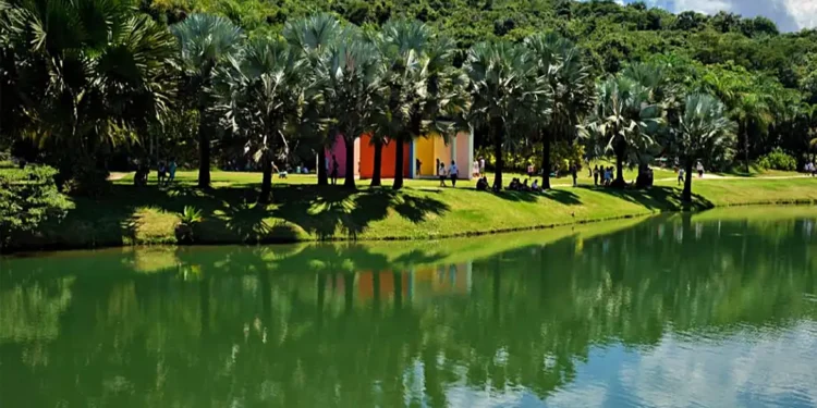 Maior museu ao ar livre da América do Sul fica no Brasil e tem 4,3 mil plantas distribuídas em 390 hectares