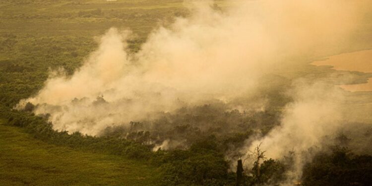 Cientistas emitem alerta: região do Brasil deve enfrentar calor extremo nos próximos anos