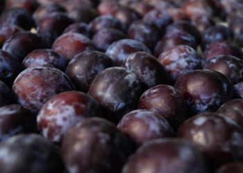 Alimento conhecido como “ouro negro” previne o câncer e ajuda no emagrecimento