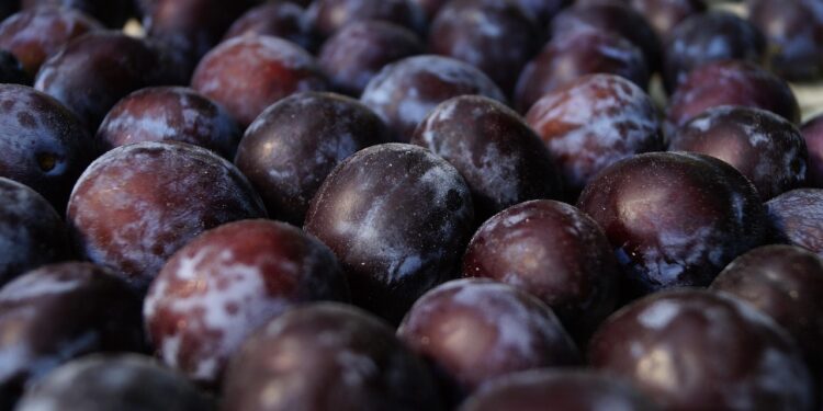 Alimento conhecido como “ouro negro” previne o câncer e ajuda no emagrecimento