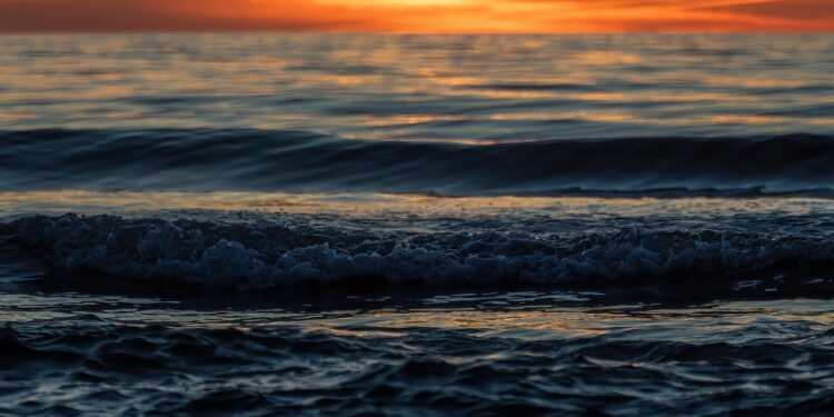 A praia mais perigosa do mundo: 120 km de tubarões brancos, águas-vivas, cachorros selvagens e correntezas mortais