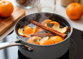 Chá de cascas de tangerina com canela: os benefícios surpreendentes que poucos conhecem
