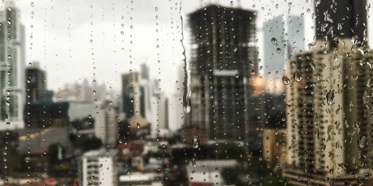 Cientistas revelam por que sentimos “cheiro de chuva” e como isso altera o nosso humor no dia