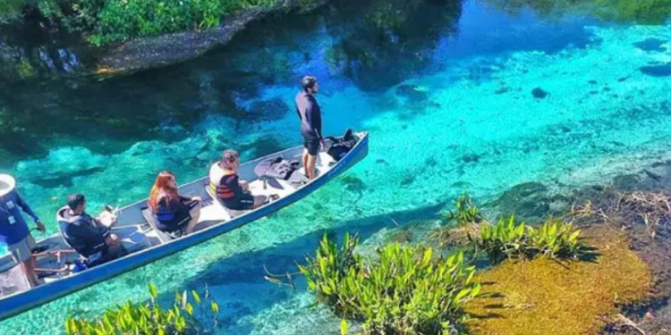 Onde a água é mais clara que o céu: cidade brasileira abriga fenômeno científico que deixa rios cristalinos