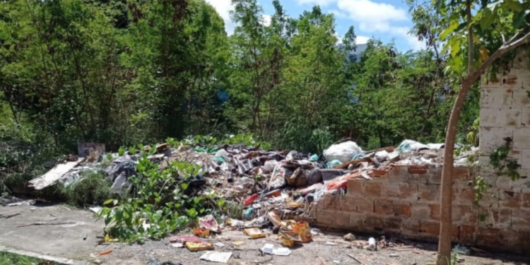 Terrenos vazios devem ser limpos até 05/01; proprietários podem ser multados após o prazo
