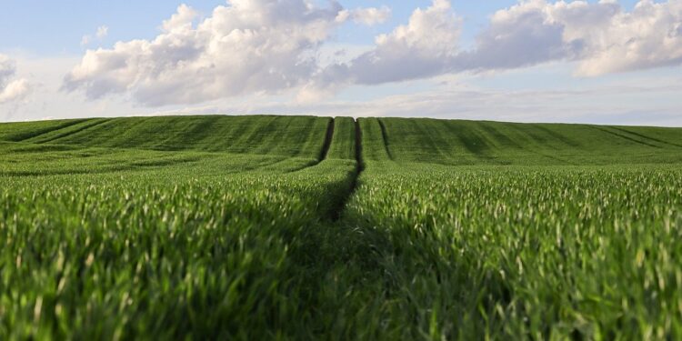 Nova lei vai ZERAR impostos para vários produtores rurais no Brasil
