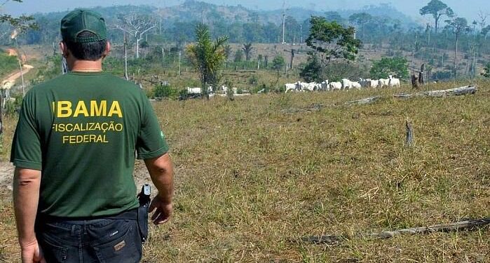 IBAMA proíbe brasileiros de terem esses 5 animais de estimação