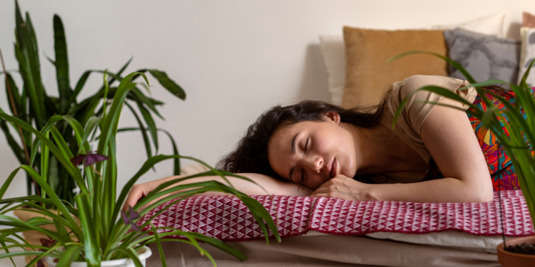 5 plantas que purificam o ar e fazem você dormir melhor