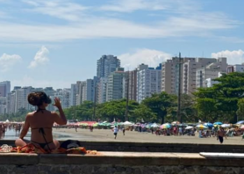 Cidade no litoral do Brasil entrou para o livro dos recordes com o maior jardim do mundo