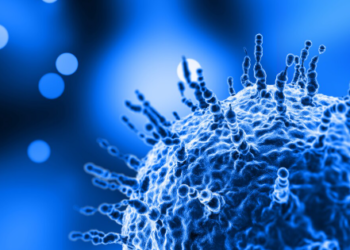 Vírus com 70% de letalidade está contaminando e pode virar a nova pandemia mundial