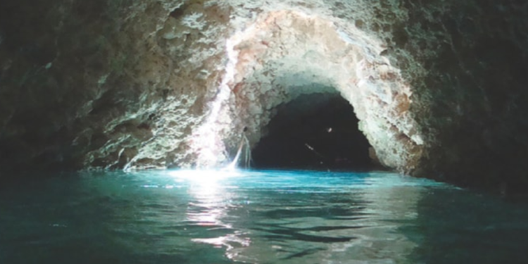 Cientistas podem ter encontrado verdadeiro “gigante” que fica no fundo do Rio Amazonas