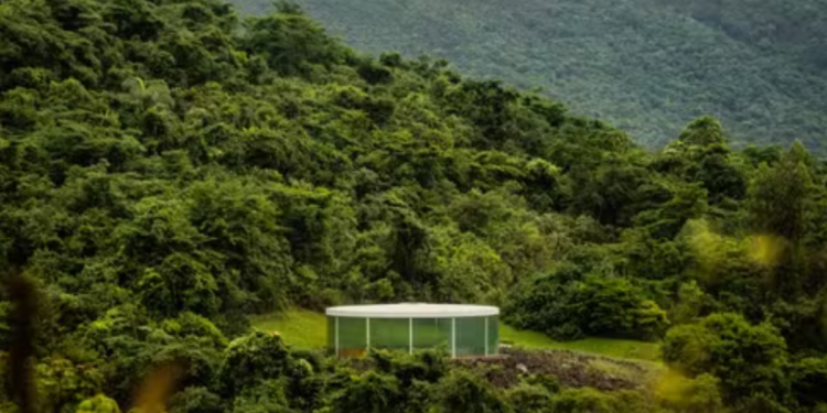 Com mais de mil obras, museu a céu aberto no Brasil entra na lista do jornal mais influente do mundo