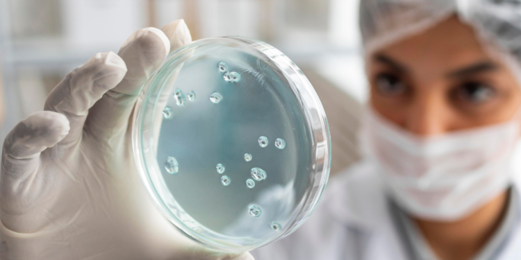 Cuidado ao nadar: ameba que come o cérebro humano já apareceu no Brasil