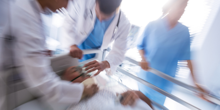 Inseto mais perigoso do Brasil é amarelo e pode matar crianças e idosos em poucos minutos