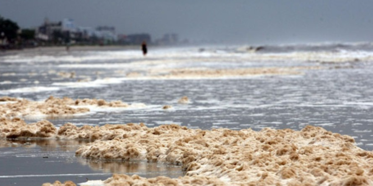 Praia brasileira acorda com cheiro insuportável e ninguém acredita no que foi descoberto lá