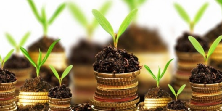 Taxa de Preservação Ambiental vira moda e cidades turísticas começam a cobrar dinheiro de visitantes