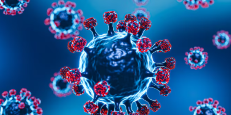 Vírus Nipah pode evoluir e iniciar pandemia pior que a Covid-19?