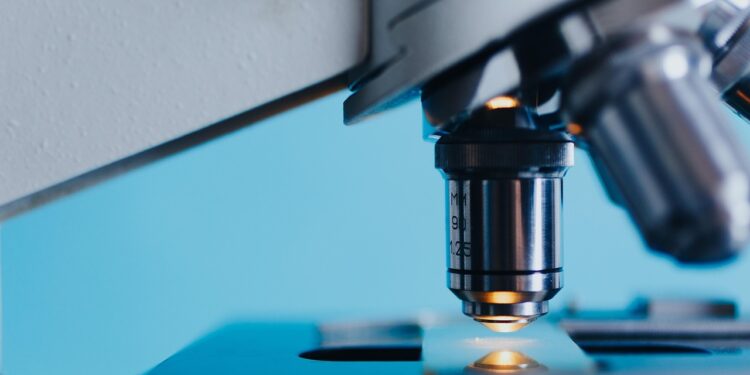 Cientistas pedem que nos preparemos para o que acontecerá em 13/11/2026