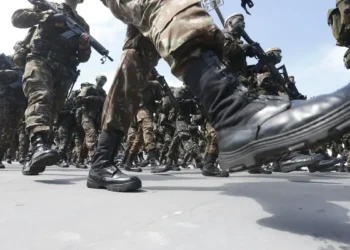 Nordeste brasileiro está em perigo de guerra