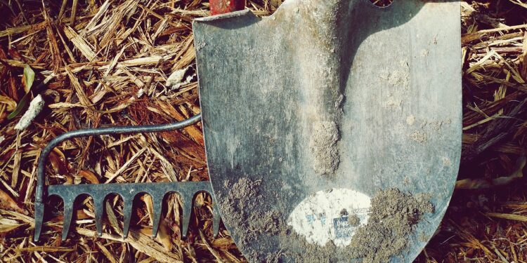 Abono PIS/Pasep será diferente em 2026; veja o que vai mudar