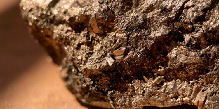 Donald Trump pode mover tropas dos EUA para Minas Gerais