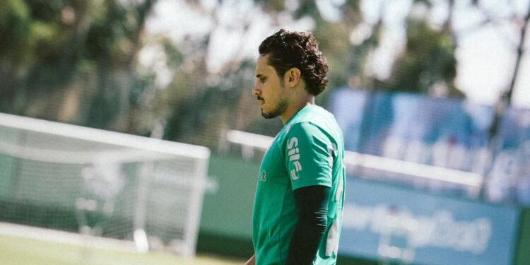 Fim de uma era: Abel Ferreira dá adeus emocionante no Palmeiras