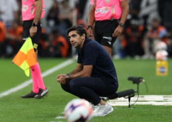 Abel Ferreira Palmeiras