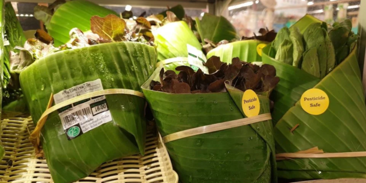 Adeus embalagens de plástico: supermercados estão usando folhas de bananeira para estocar alimentos neste país