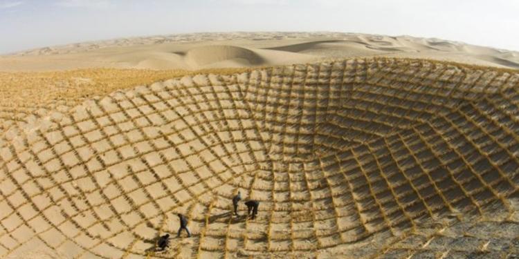 China está criando peixes no deserto que era considerado o mais perigoso do mundo