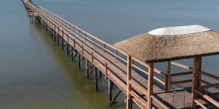 Cientistas encontram bactérias na água e alertam para que brasileiros fiquem longe do mar