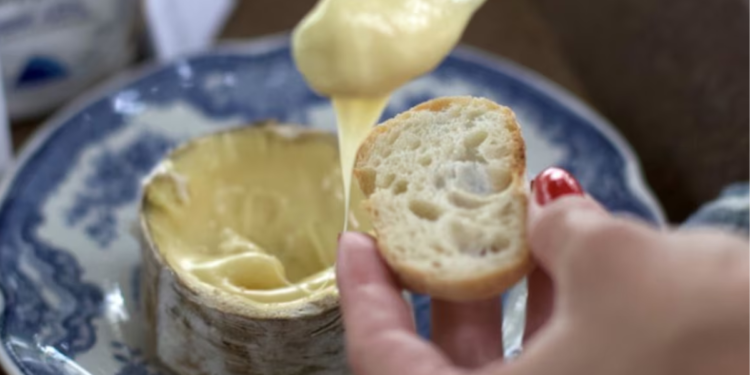 Queijo de Santa Catarina é reconhecido como um dos melhores do mundo por revista internacional