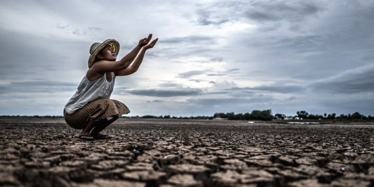 Sexta extinção em massa do Planeta Terra já tem data para acontecer