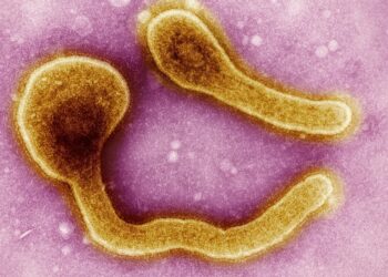 Após 3 anos, OMS retoma campanha de vacinas para evitar uma nova pandemia